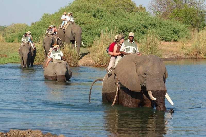 Les arrivées de touristes au Zimbabwe diminuent de 17 % au premier trimestre