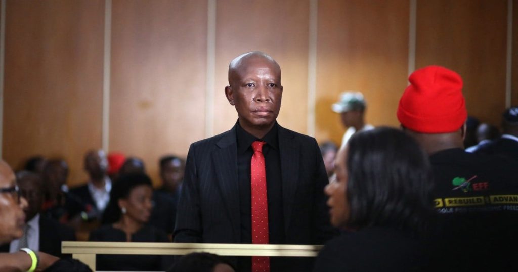 Malema autorisé à faire appel de sa condamnation relative aux armes à feu