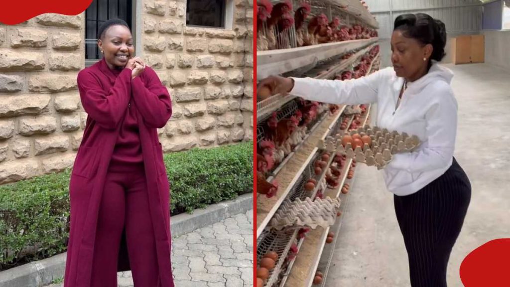 Millicent Omanga présente sa vaste ferme avicole tout en collectant des œufs